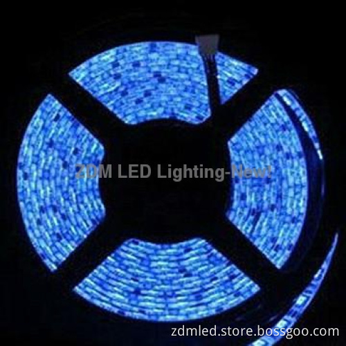 high quality 5050&3528 blue led strip lighting